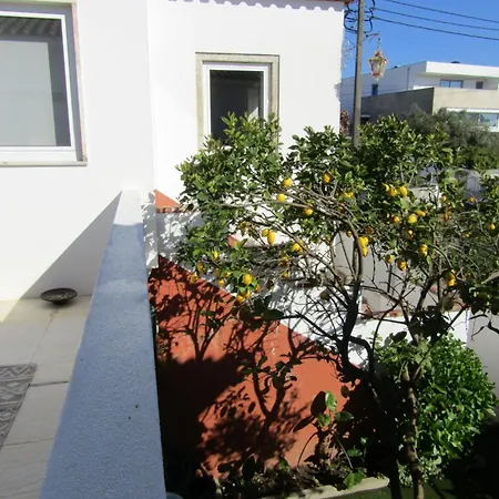 別荘 Casa Da Ancora